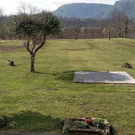 Affittacamere La Foresta Di Sopra Barga Zewnętrze zdjęcie