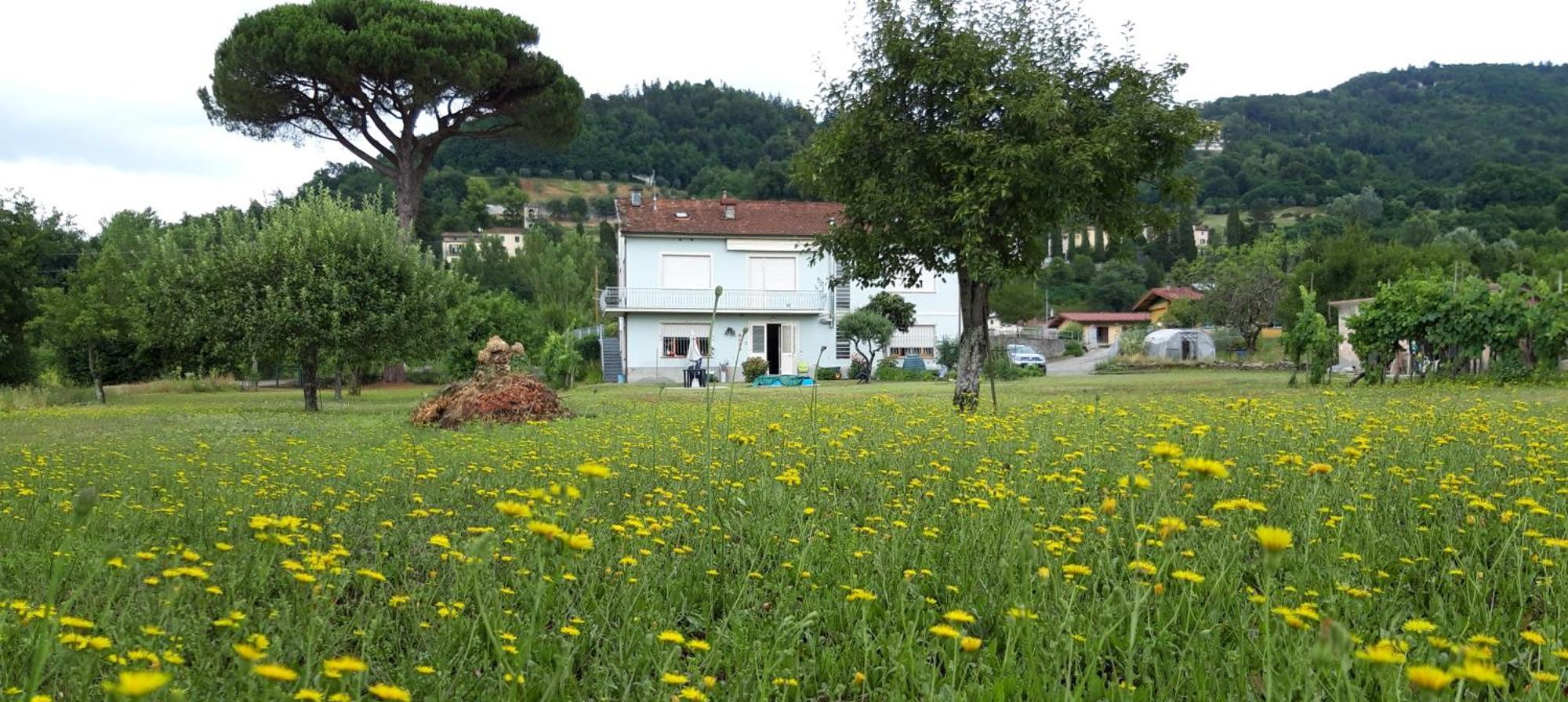 Affittacamere La Foresta Di Sopra Barga Zewnętrze zdjęcie