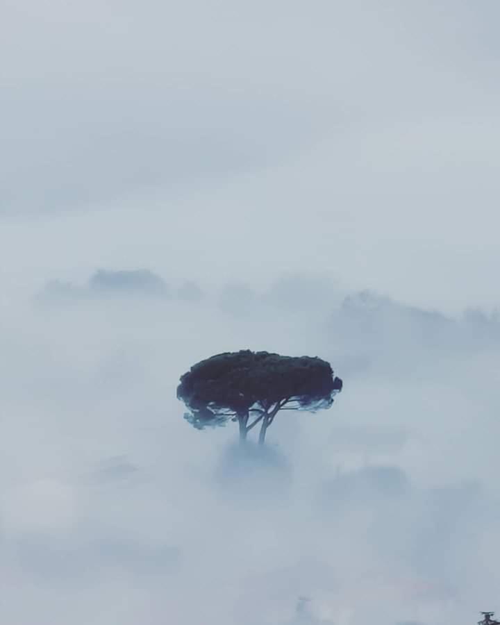 Affittacamere La Foresta Di Sopra Barga Zewnętrze zdjęcie