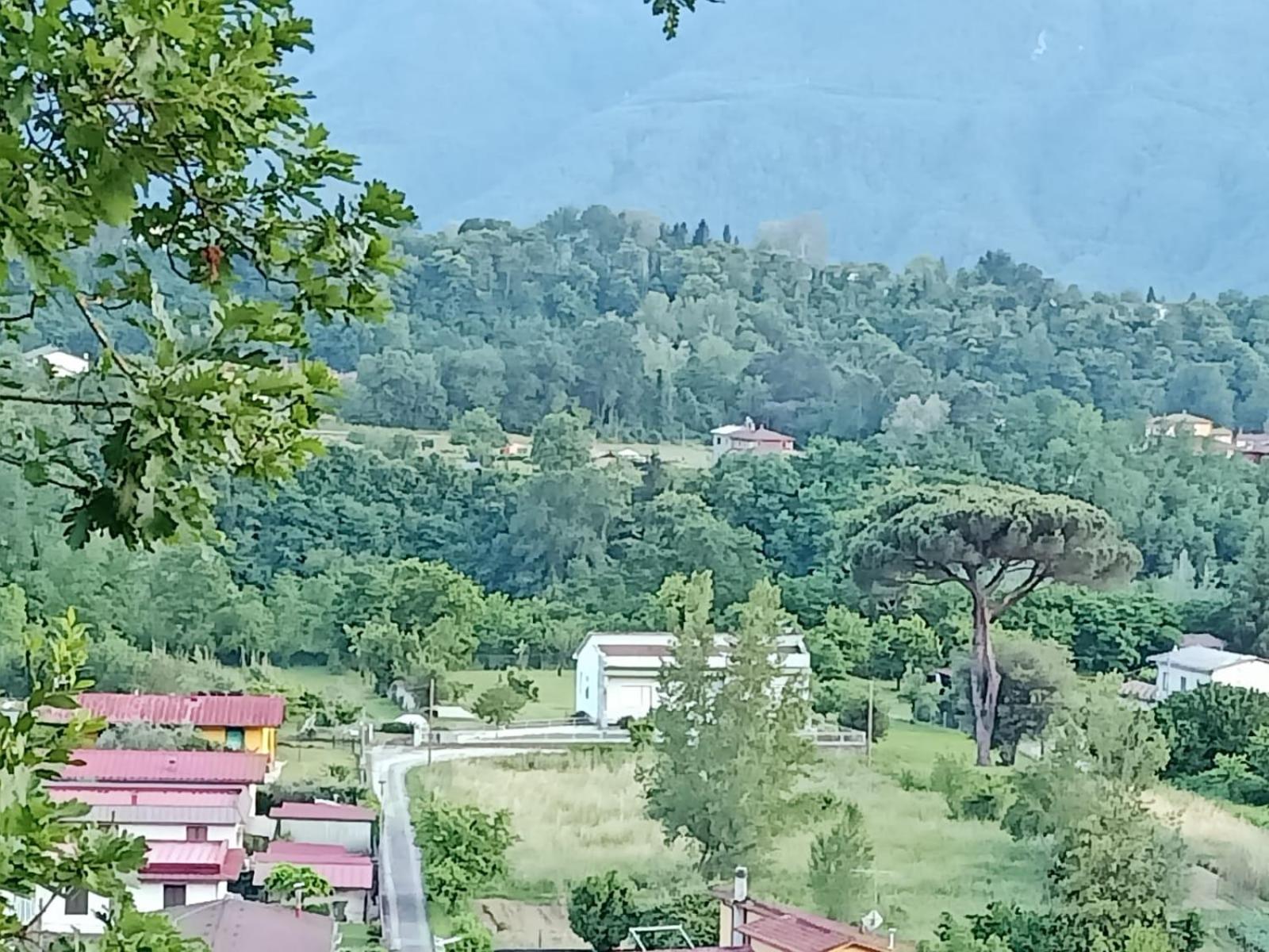 Affittacamere La Foresta Di Sopra Barga Zewnętrze zdjęcie